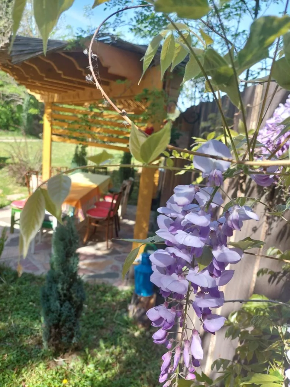 Brvnara Banoštor – detalj