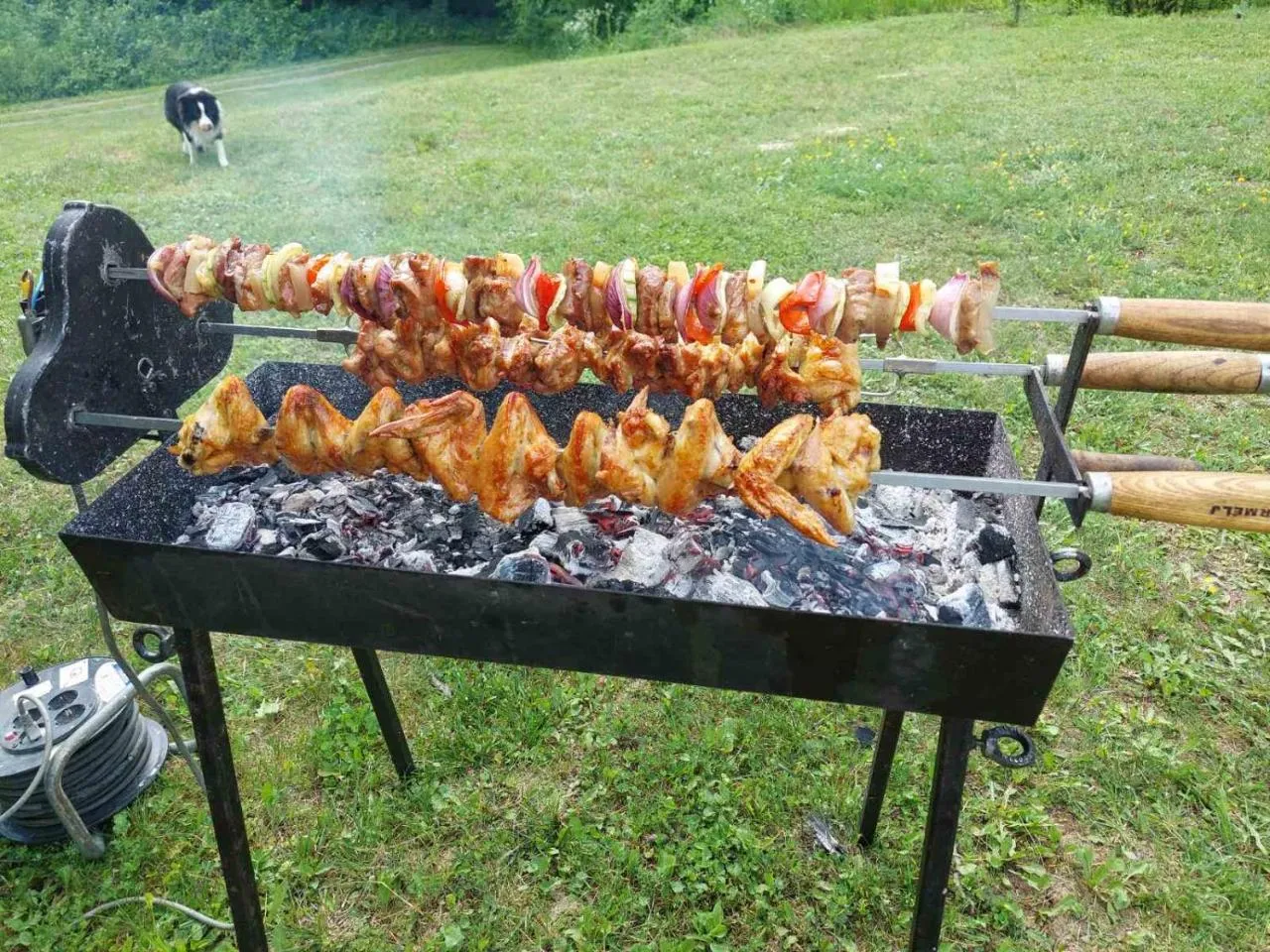 Brvnara Banoštor – roštilj