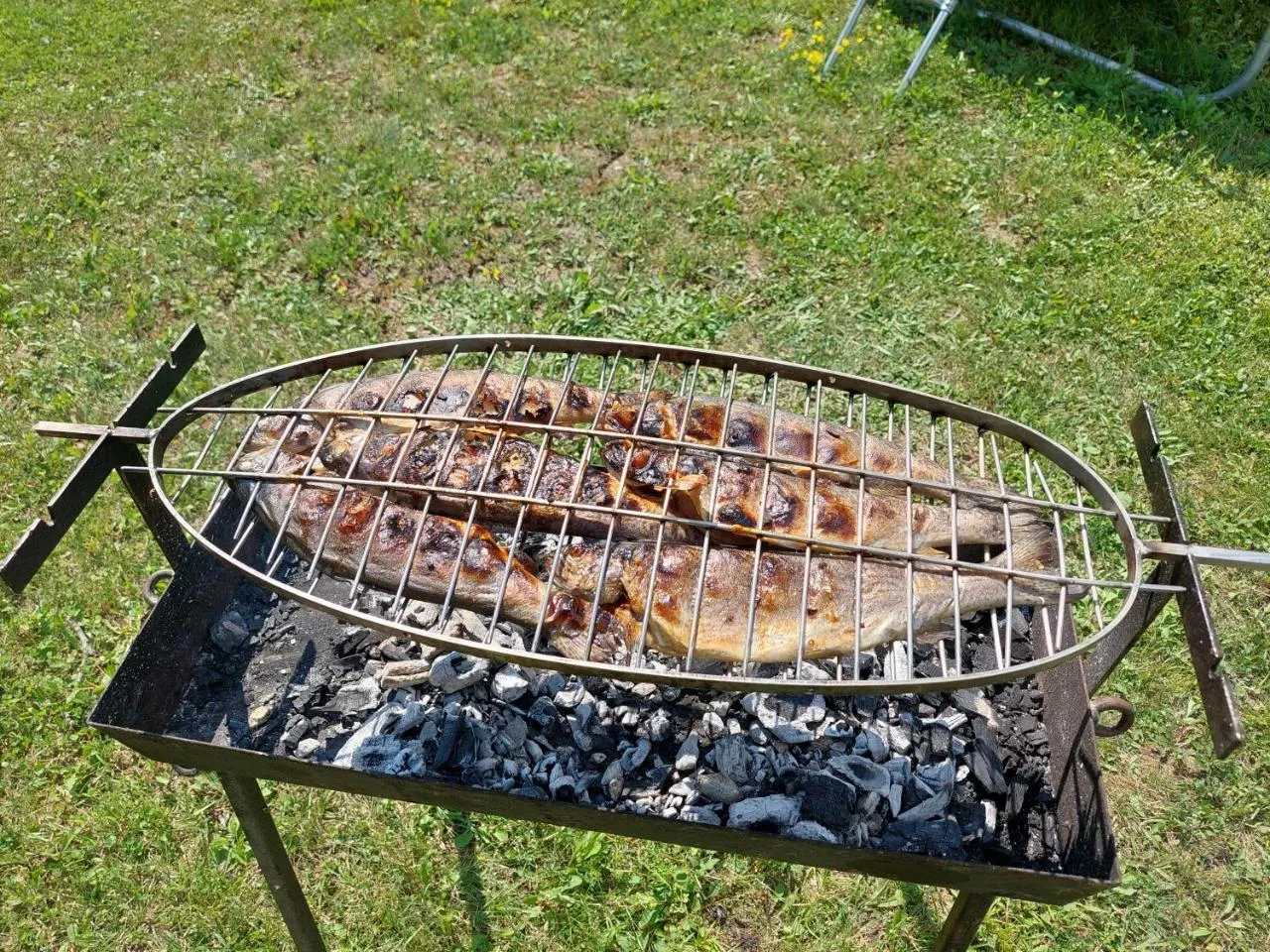 Vikendica Banoštor – roštilj