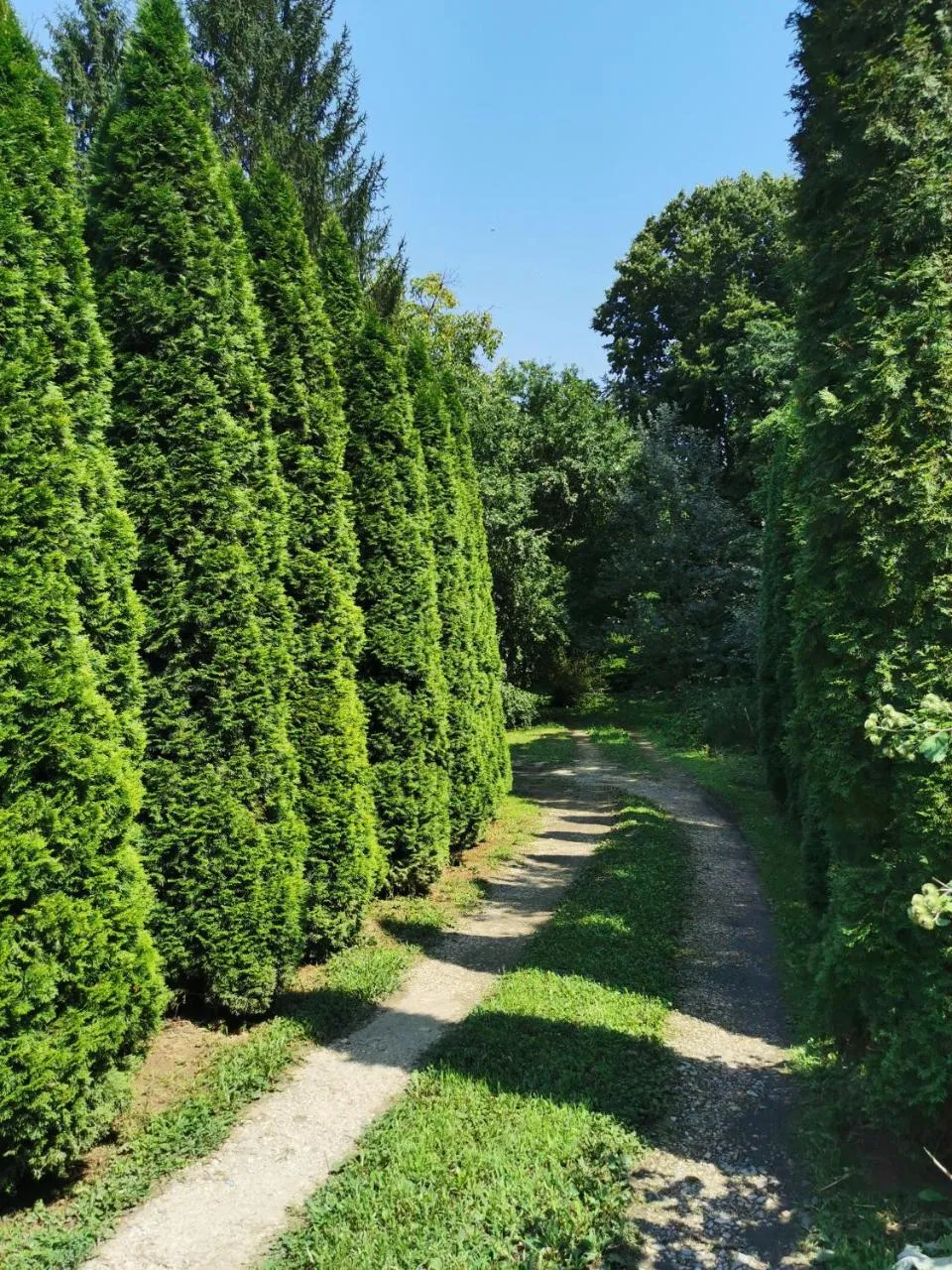 Vikendica Banoštor – dvorište